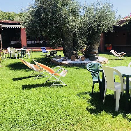 Agriturismo Su Barraccu Loceri Dış mekan fotoğraf