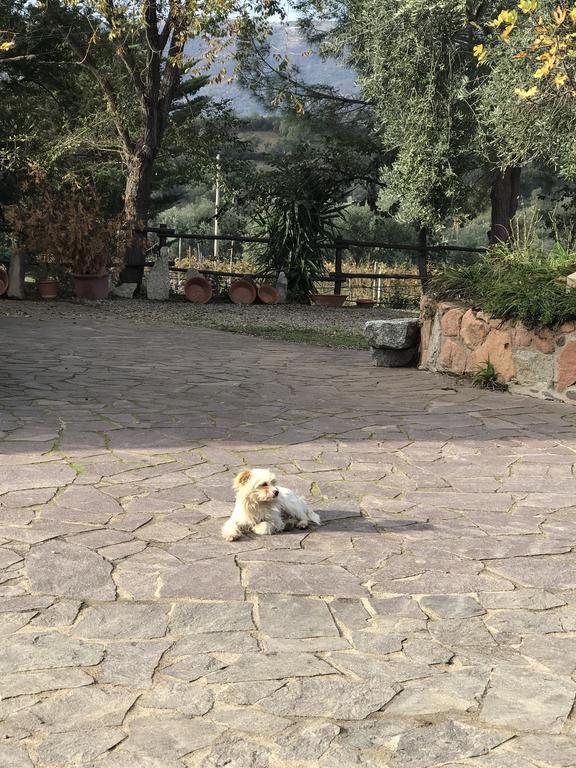 Agriturismo Su Barraccu Loceri Dış mekan fotoğraf