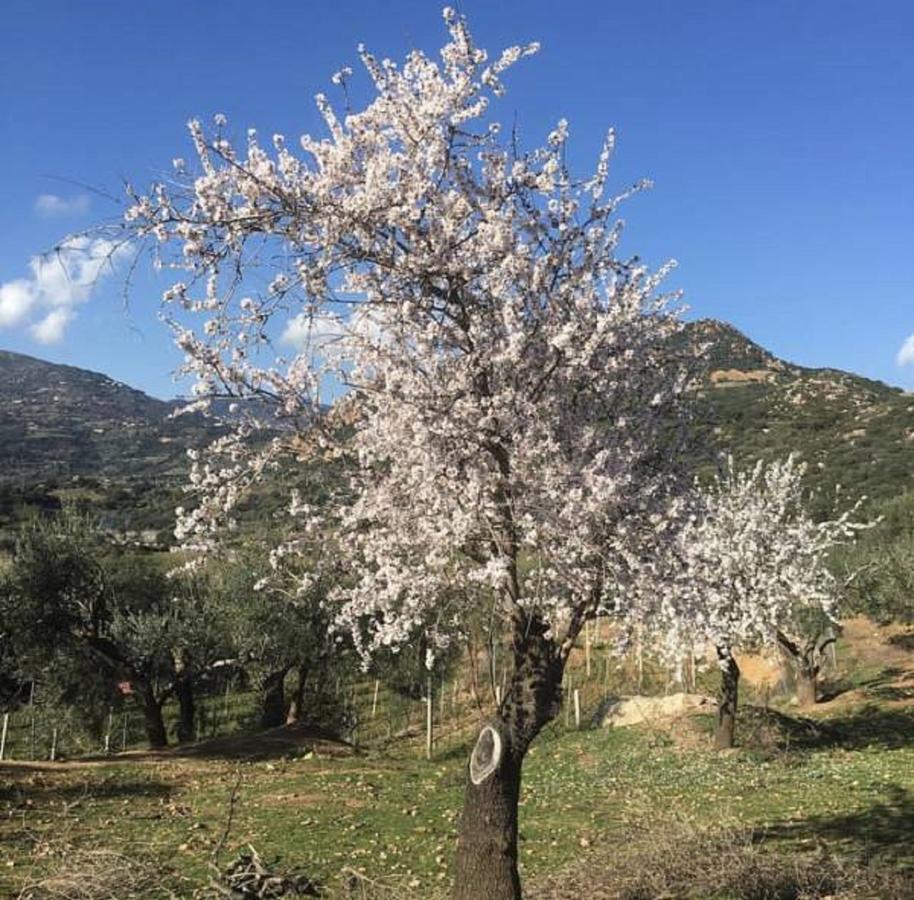 Agriturismo Su Barraccu Loceri Dış mekan fotoğraf