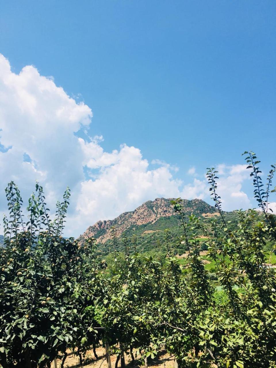Agriturismo Su Barraccu Loceri Dış mekan fotoğraf
