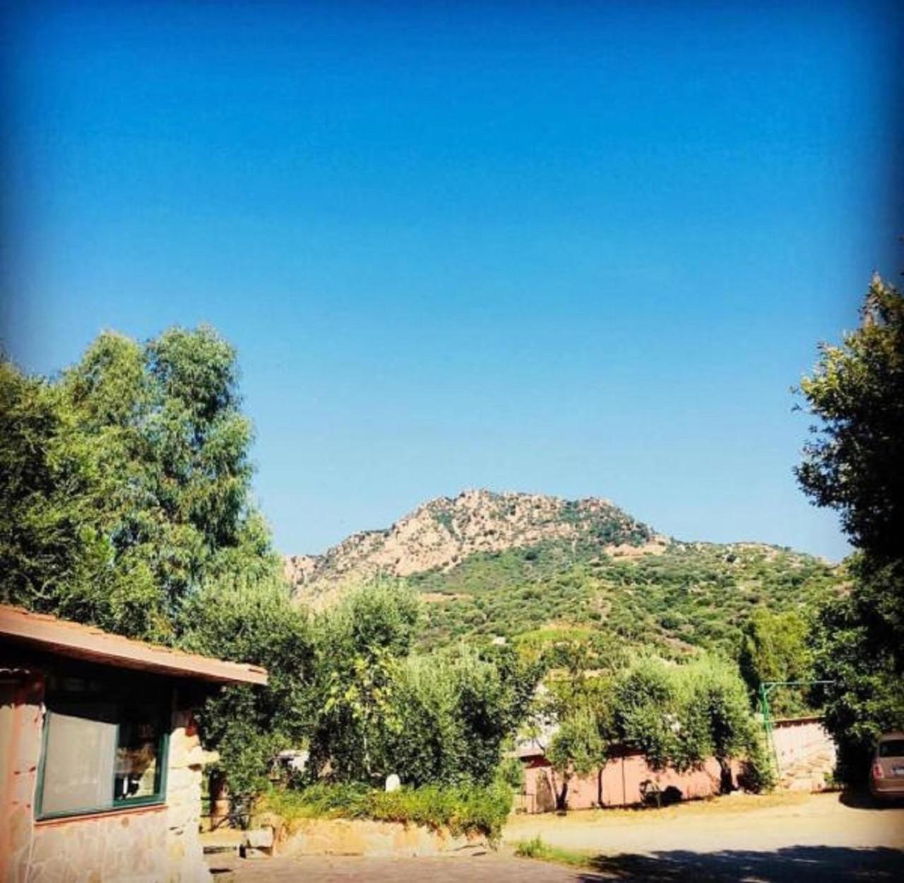 Agriturismo Su Barraccu Loceri Dış mekan fotoğraf