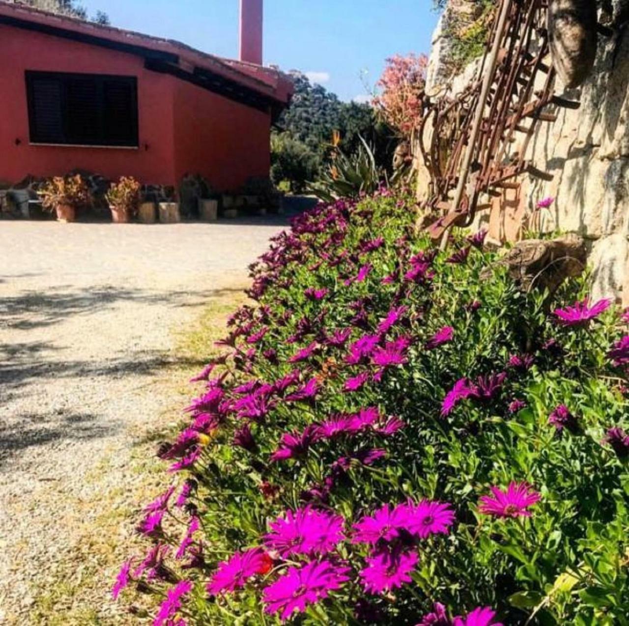 Agriturismo Su Barraccu Loceri Dış mekan fotoğraf